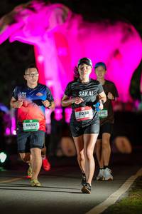 BIB: 
                            <button type="button" onclick="openModal(26533546)" class="btn btn-primary btn-sm float-right btn-popup" data-toggle="modal" data-target=".modal-high-quality">
                        <i class="fas fa-shopping-cart"></i> Add to Cart
                    </button>
                                            <button type="button" onclick="isThisMe(26533546, true)" class="btn btn-success btn-sm float-right btn-popup btn-isme hidden" data-toggle="tooltip" data-placement="bottom" title="นี่คือรูปของคุณใช่ไหม คลิกที่นี่เพื่อเอาเข้าอัลบั้ม">
                        <i class="fas fa-plus"></i> Add to album
                    </button>
                    <button type="button" onclick="isThisMe(26533546, false)" class="btn btn-warning btn-sm float-right btn-popup btn-isnotme hidden">
                        <i class="fas fa-ban"></i> Remove from album
                    </button>